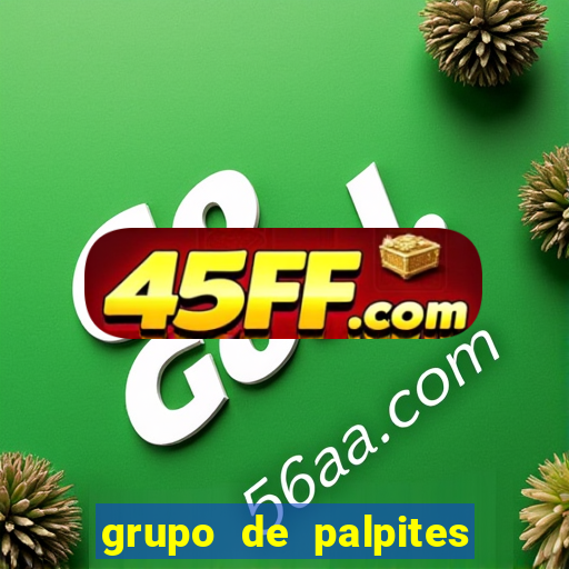 grupo de palpites de futebol whatsapp